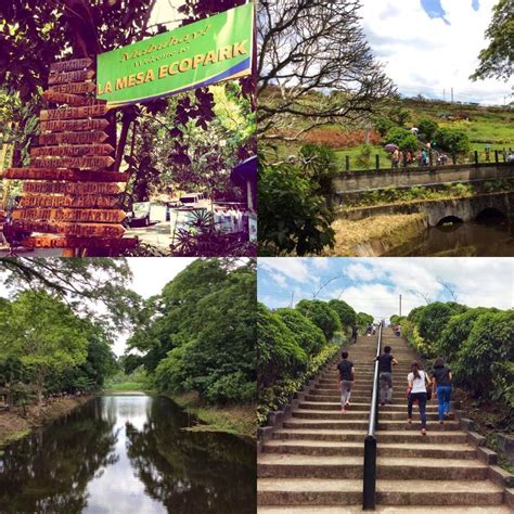 quezon city activities|15 Attractions in Quezon City for Different Types of .